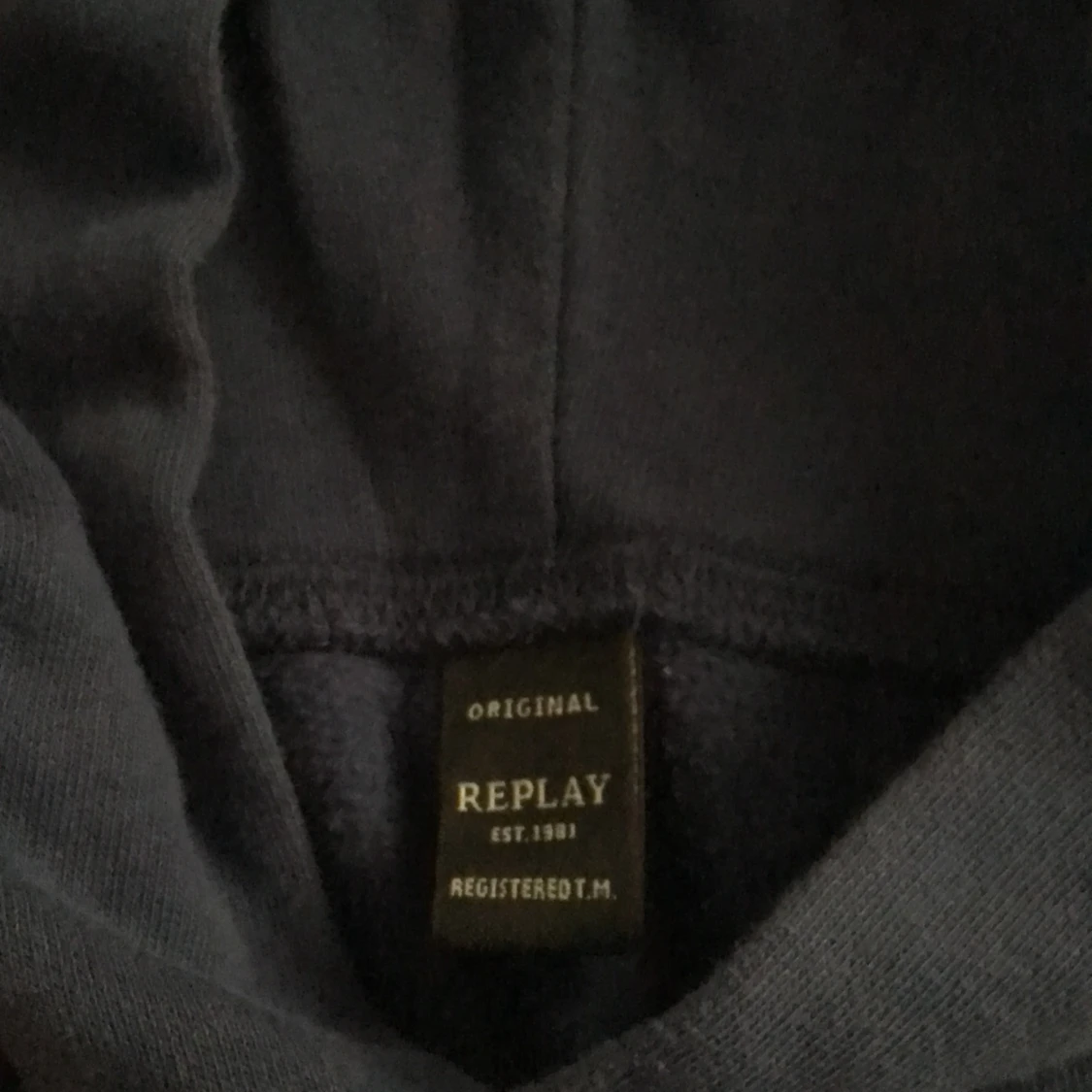 Blå Replay hoodie - 90