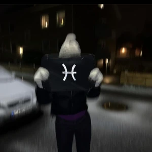 Datafodral  - Datafodral med stjärntecken tryck, i reflex!✨ Beställ med ditt alldeles egna stjärntecken på!♊️♋️♌️♈️♉️♎️♍️♒️♓️♑️♐️♏️ 15 TUM men passar mindre datorer med, då blir det extra plats för annat i fodralet😍