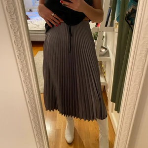 Plisserad kjol  - Plisserad kjol i lite metallica aktig färg, superfin, från zara! Köparen står för frakten 🥰