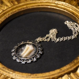 Halsband tand  - Goth inspirerat halsband med en tand från rådjur i en silvrig ram, med en silvrig kedja. 