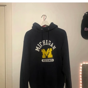 Champion hoodie  - Champion hoodie, använd några få gånger. Men har dock en rosa fläck på den vänstra armen längst ner. 