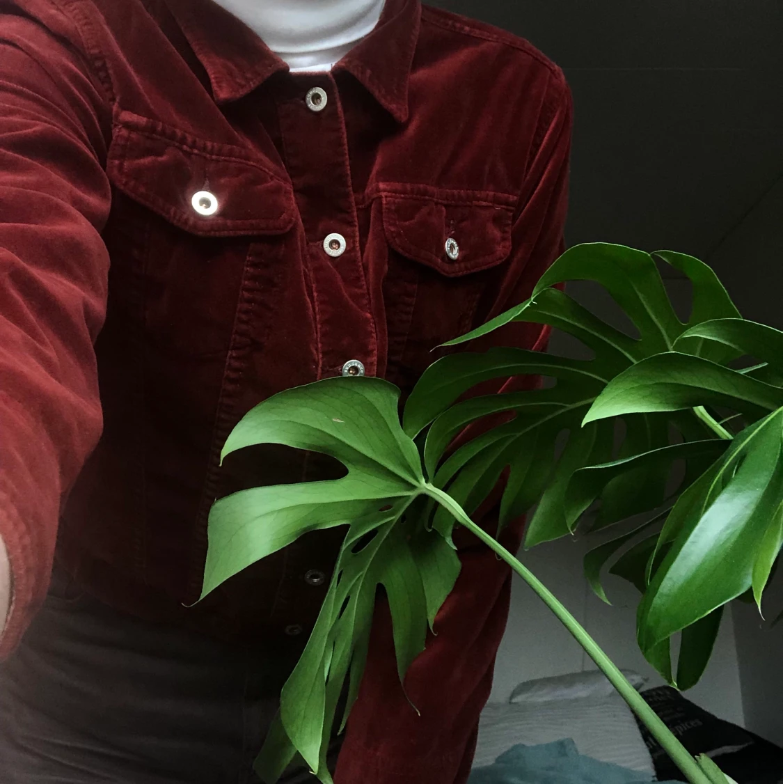 Röd sammetsjacka - 90