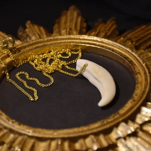 Halsband tand  - Halsband med en tand ifrån vildsvin och en guldig kedja. 
