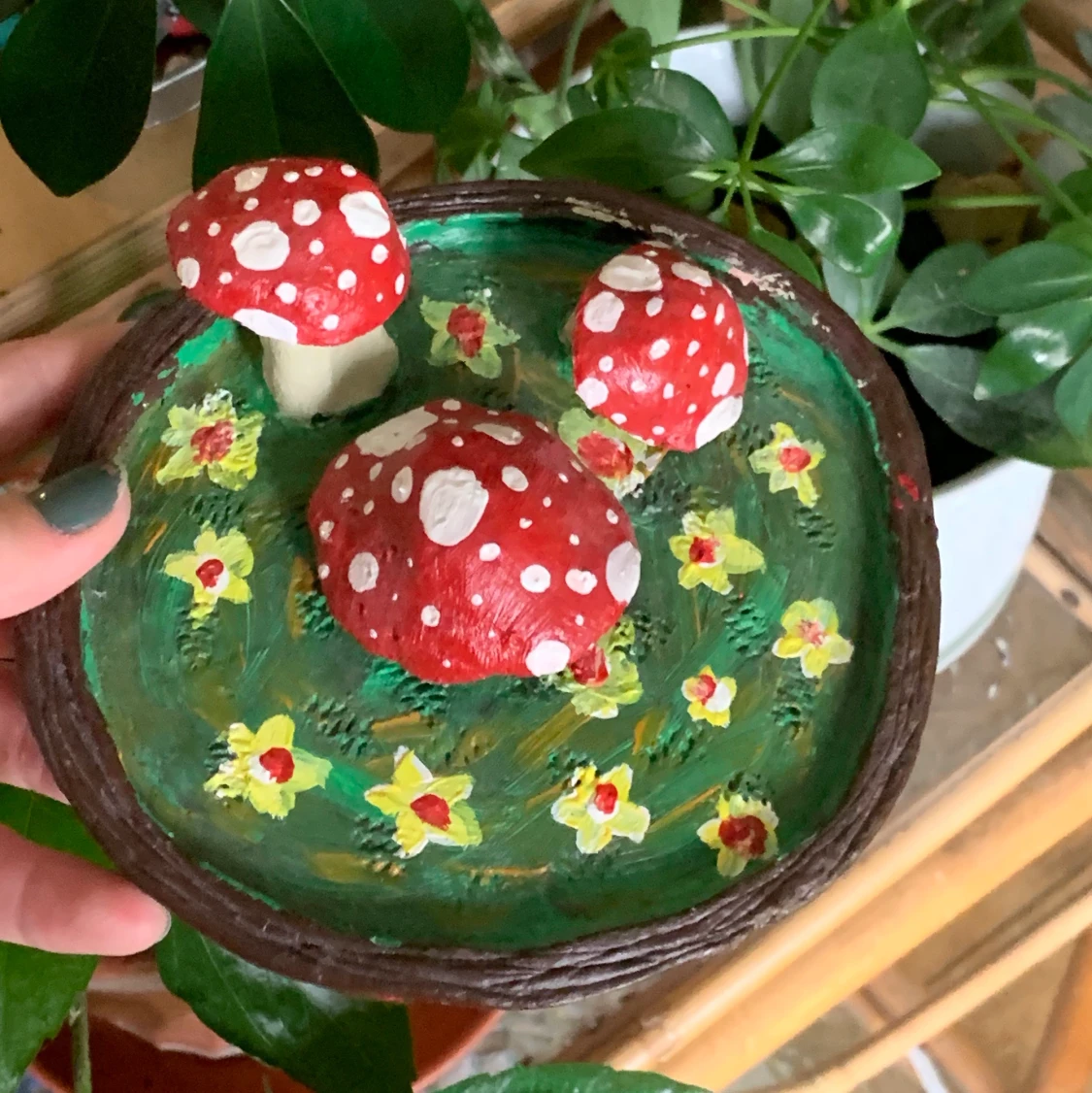 En liten svamp trädgård