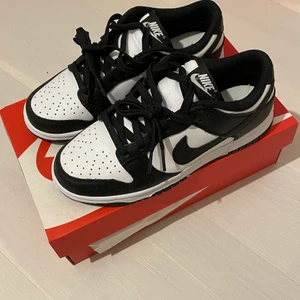 Wmns Dunk Low - Brand new and never used. Shoes is in size US W6 or 36.5. 