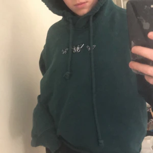 Grön hoodie  - Skit snygg grön hoodie, från hollister i storlek xs, 89 kr plus frakt 