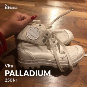 Palladium  - Äkta 