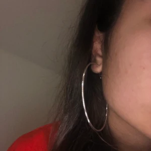  Ringar öringen  - Dom är endast provat 