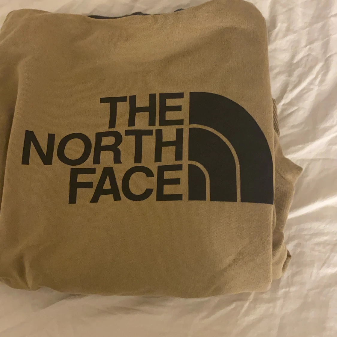 The north face hoddie - 91
