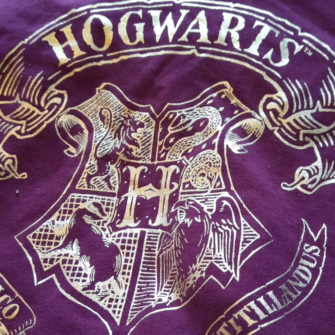 Harry Potter hoodie - 91