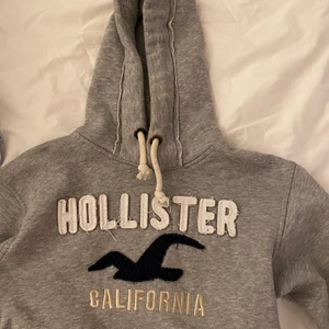 Hollister hoodie - Hoodie som inte längre används, stl m men funkar fint på mig som brukar ha s/xs