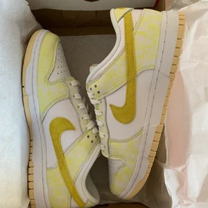 Nike dunk low - Helt nya dun low, du 41