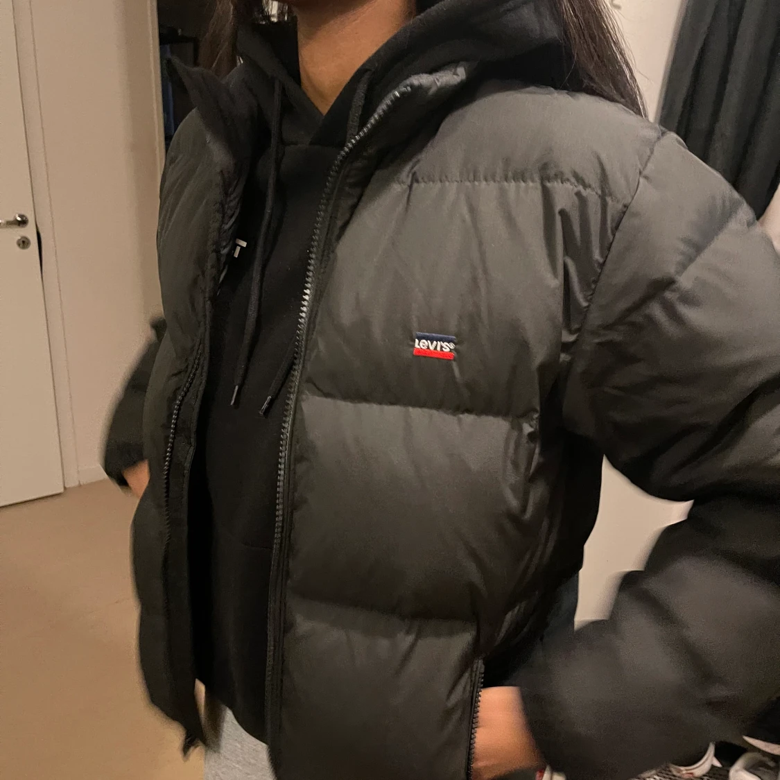 Levis jacka, lik North Face puffer