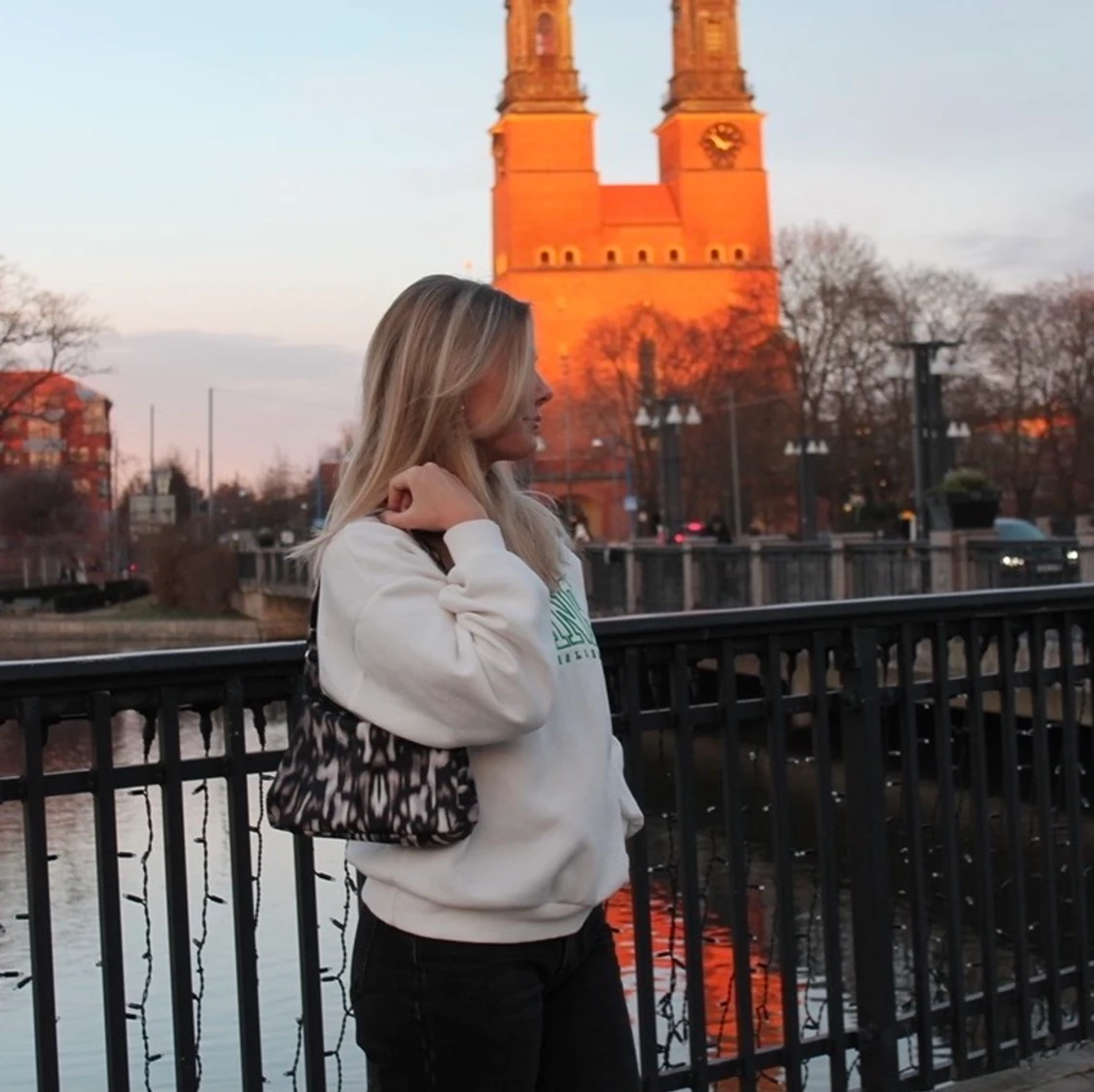 Svartvit mönstrad väska 