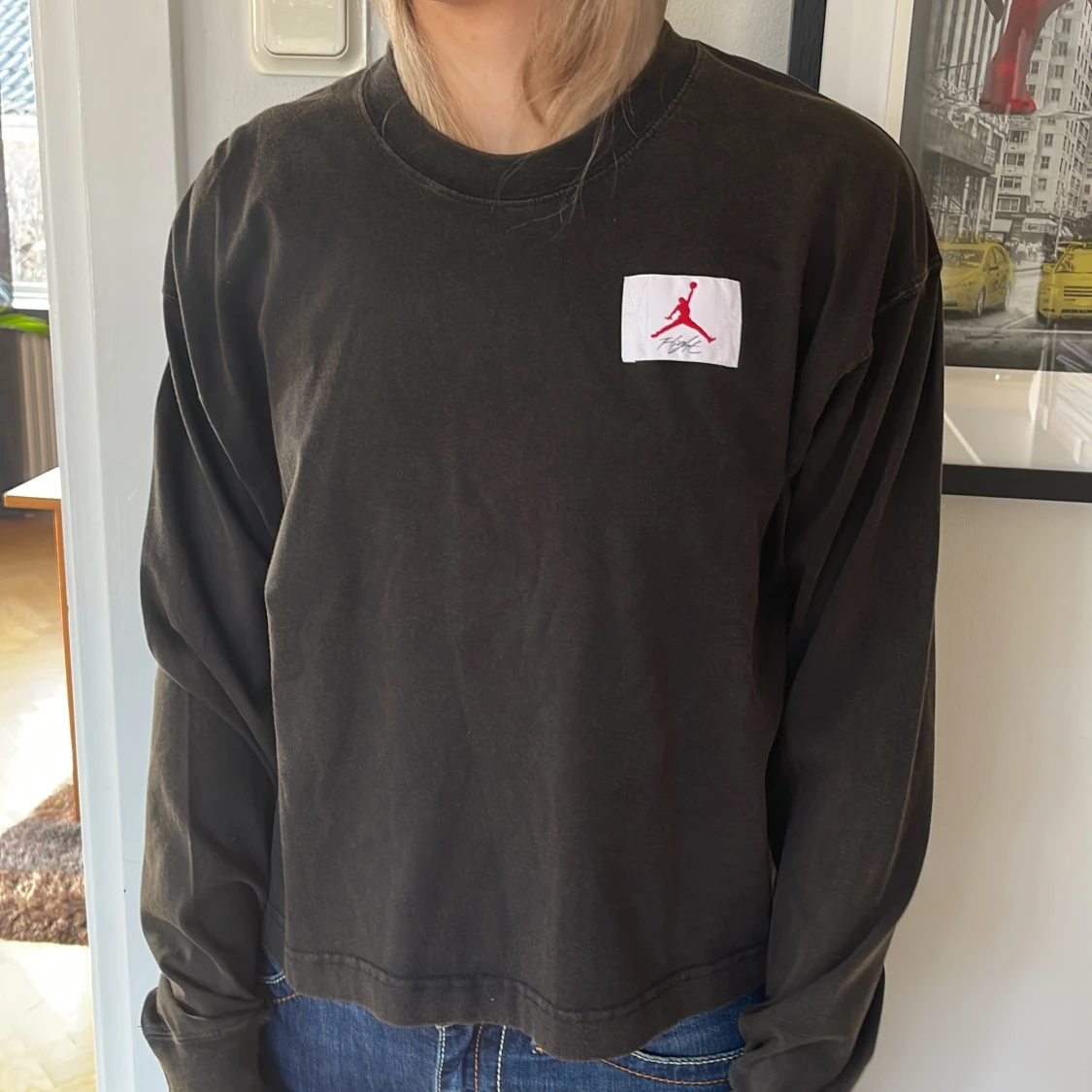 Air Jordan tröja