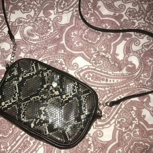 S - Jaghar inte änvant den 