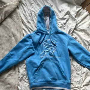 blå y2k hoodie  - använd någon gång, inga defekter vad jag har sett. för fler frågor skriv till mig på dm.