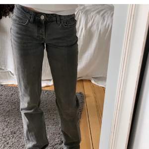 Gråa lågmidjade jeans storlek 26/30, aldrig använda då de va för små för mig! Från weekday i modellen Arrow Low, nypris är 500kr