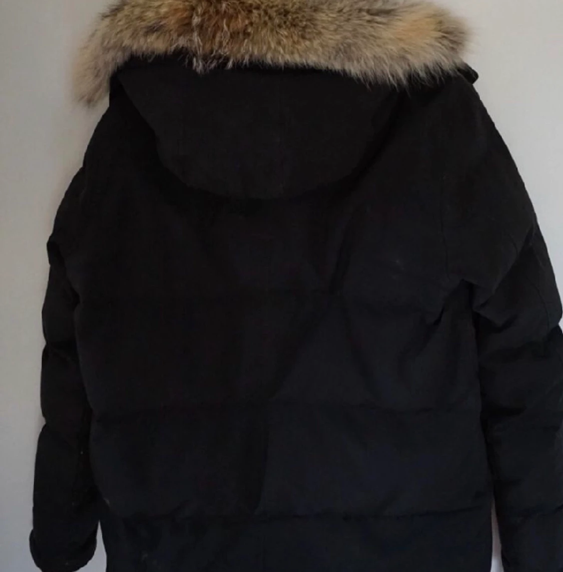 Canada gose jacka  - 90