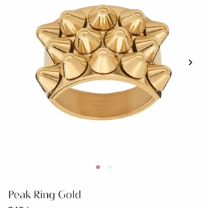 Edblad ring guld  - Vill någon byta min ring i storlek M till en storlek S?