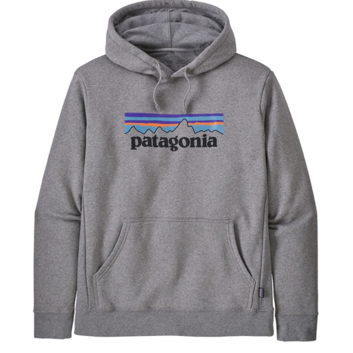 Patagonia grå Hoodie
