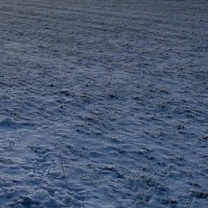 Svarta kostymbyxor  - Svarta kostymbyxor. Str. S Passform: XS-S. Jag är 167. Pris: 90kr. Swish, kan mötas upp i Lund