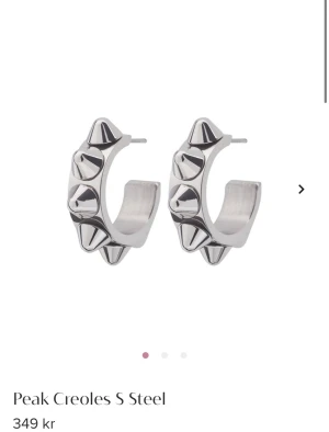 Edblad örhängen  - Örhängen med nitar från edblad 