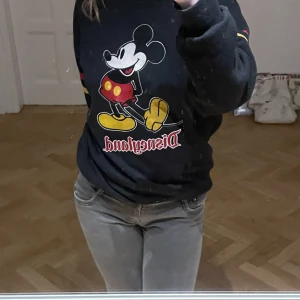 Vintage Sweater - Mickey Mouse vintage sweater, utan defekter. Köpt på second hand för cirka 500kr så tror inte att den finns att köpa nånstans. Skriv om ni har funderingar💕