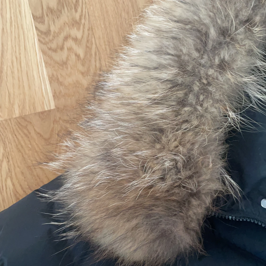 Hollies vinterjacka  - 91