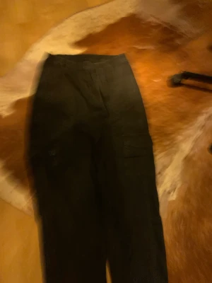 Sweet Sktbs cargo - Använt de en gång, men kom aldrig till användning utan hängde bara i garderoben. Originalpris 600kr. Sitter völdigt snyggt om man tycker om byxor som är lite bagge.