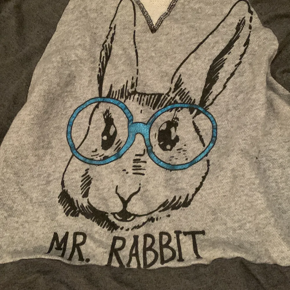 En skön tjocktröja med en kanin med glasögon på. I bra skick!  Obs! Klicka inte köp nu . Hoodies.