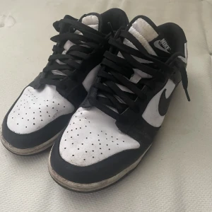 Nike SB Dunks storlek 44 - Ett par väl använda Dunks i storlek 44 