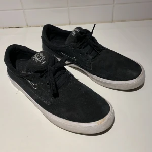 Nike SB shane  - Nyskick 