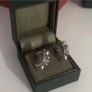 Edblad örhängen - Aldrig använda ❤️