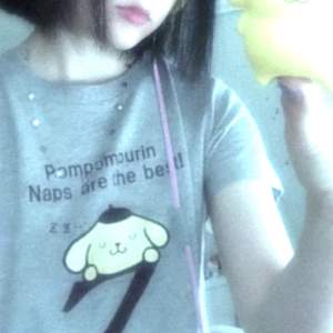 Sanrio licensed pompompurin tshirt från uniqlo <3 Den är deadstock och sällsynt! Passar bra till sanrio girls :3 Skriv vid intresse och köparen står för frakt!