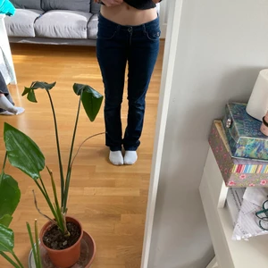 Low waist jeans  - Low waist jeans som sitter storlek 36, köparen står för frakt 💕