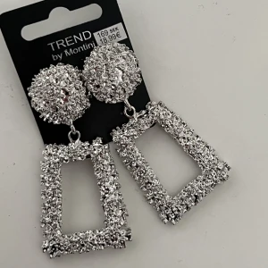 Borstar   - Helt oanvända örhängen, så fina men säljer vidare. Köptes för 169kr säljer direkt för 120kr