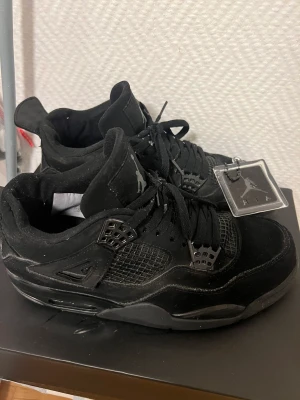 Jordan 4 Black Cats - Stl 41 och tillkommer med box.