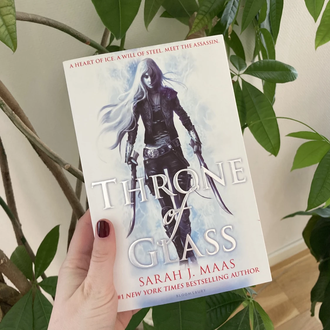 Throne of glass