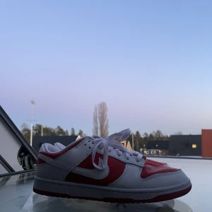 Nike dunks  - Säljer min brorsas skor, använt några gånger men inte så slitna⚡️