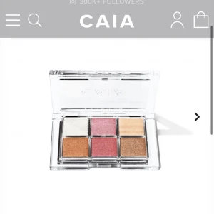 Caia palett - Palett från caia! Endast swatchad med rena borstar men ångrade mig sen!   Färgen disco fever. Nypris: 325