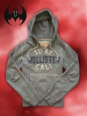 Vintage Hollister Hoodie  - Säljer denna snygga eftertraktade Hollister Hoodie | Mycket bra skick | Size S | Längd: 62cm Bredd: 56cm Arm: 67cm | Lägg endast bud med avsikt att köpa, inga fördröjning! Pris är inte hugget i sten!