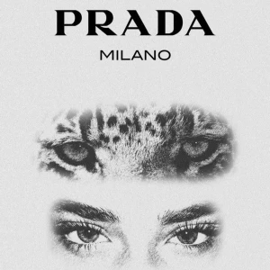 Specialbeställda posters - Säljer specialbeställda posters. Säg vilken/vilka posters som du vill ha så fixar jag det. Går även att beställa handritade posters! Alla är i A4 format och finns endast i svartvitt. Pris går att diskuteras, 45 kr/st