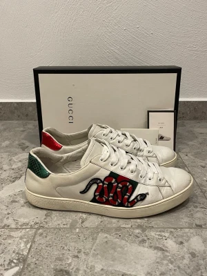 Gucci Ace Snake - Gucci Ace Snake || Storlek EU 45 || Skorna är i bra skick med defekter förekommer (se bilder) || Box och  Gucci kort medföljer vid köp || Tveka inte på att höra av dig vid frågor eller funderingar 
