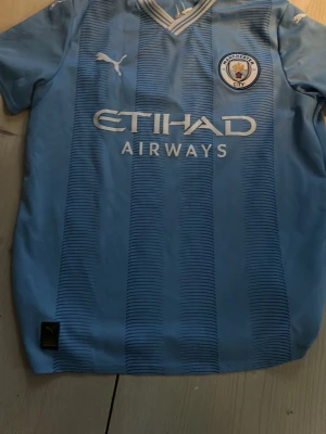 Manchester City matchtröja Puma - Ljusblå Manchester City matchtröja från Puma med klubbmärke på bröstet och Etihad Airways-logga framtill. Tröjan har korta ärmar, V-ringning och tunna mörkblå ränder. Perfekt för fotbollsträning eller att bära som supporter.