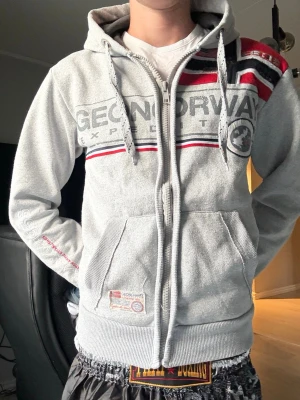 Grå hoodie från Geo Norway - Snygg grå hoodie från Geo Norway med dragkedja, huva och stora broderade detaljer. Stor norsk flagga på axeln och logga framtill.  Storlek M men sitter som S. tröjan är som ny nästan aldrig använd.