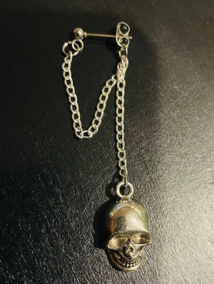 By prisförslag- 1 st Silvrigt örhänge med dödskalle - Coolt örhänge i silverfärgad metall med en kedja och en hängande dödskalle. Örhänget har en unik design med två kedjor som ger en edgy look. Perfekt för dig som gillar alternativa accessoarer och vill sticka ut.