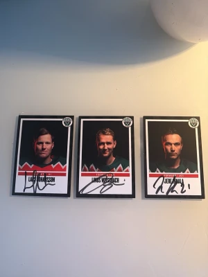 Tre signerade hockeykort - Säljer tre hockeykort med autografer från spelare i Frölunda hc. Korten har spelarnas namn, foto och statistik på baksidan. Designen är svart, vit och röd med klubbens logga i hörnet. Perfekt för samlare eller fans av svensk ishockey.