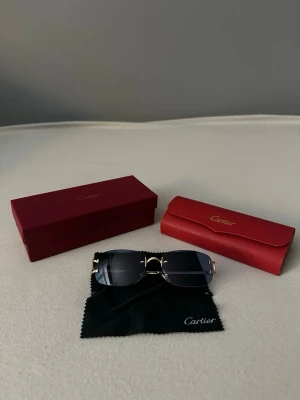 Glasögon  - Helt ny