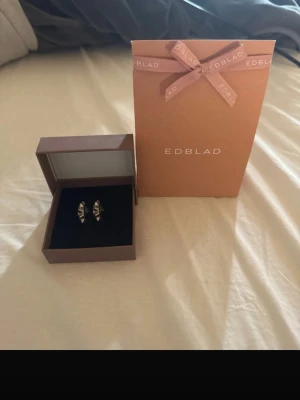 Silvriga örhängen från Edblad - Säljer ett par stilrena silvriga örhängen från Edblad. Örhängena har en modern, spetsig form och är tillverkade i blankt metallmaterial. Kommer i original ask och presentpåse från Edblad. Perfekta för dig som gillar minimalistisk och trendig design. Nypris 399! Knappt använda 💕